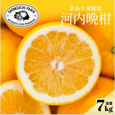 【太陽の恵みをギュッと凝縮】河内晩柑 訳あり 7kg 愛媛県産【D70-45】【1537315】