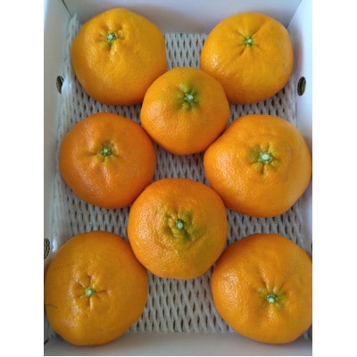 çå¹³ãå®¶åºçšãçŽ3kgãD76-19ãã1707399ã