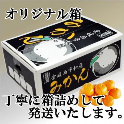 MãSãµã€ãºã§ãå±ãã»æ¿åãªå³ãã! äºäžèŸ²åãåæ20å·ãçŽ5kg ãC39-12ãã1245424ã