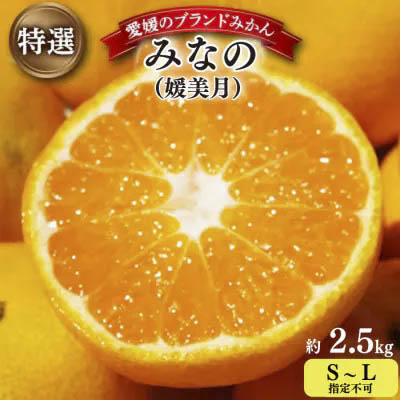 【2026年11月以降発送】みなの共選の特選「みなの(旧:媛美月)」約2.5kg【C28-36】【1334191】 YWTN024