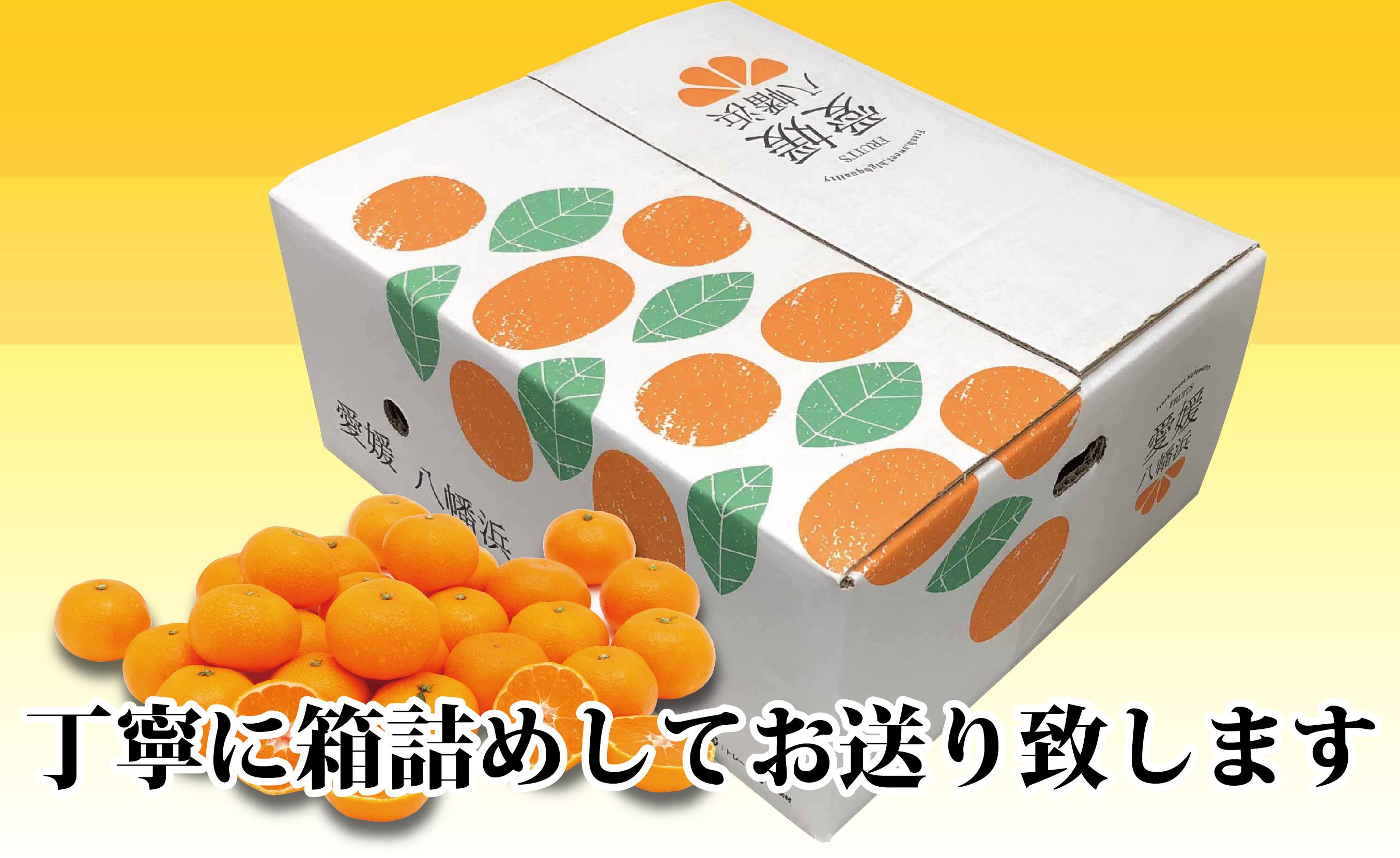 【先行受付】小粒・濃厚な味わい!!「八幡浜小玉っ子みかん」約5kg【C39-59】【配送不可地域：離島】【1512462】 YWTF034