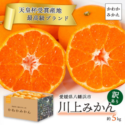 【天皇杯受賞産地】愛媛県八幡浜市 川上みかん 約5kg【訳あり】【C25-247】【1654045】