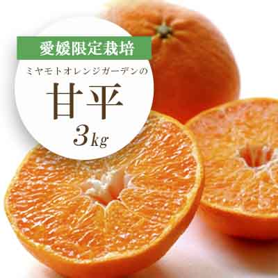 【先行受付】愛媛限定栽培柑橘 甘平(かんぺい)3kg【F25-8】【1268366】 YWTAP004