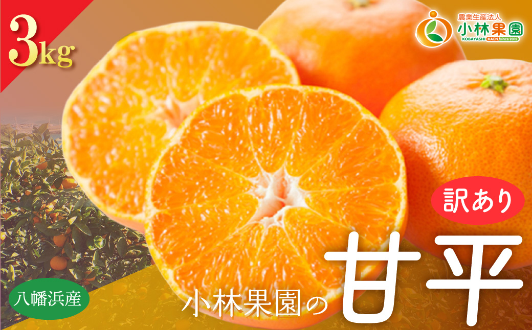 【先行受付】★訳アリ★【数量限定300箱】　愛媛・小林果園の甘平(かんぺい)約3キロ【C24-39】 YWTAD030