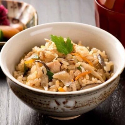 媛っこ地鶏の炭火親子丼・鶏めしセット【C17-2】【配送不可地域：離島】【1186424】