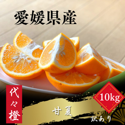 【ほろ苦くて甘酸っぱい】【訳あり】甘夏 10kg【E83-28】【1557494】