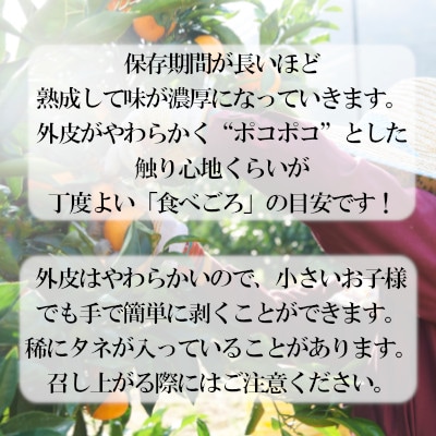 ãçæã¯ãã¿ãèŽççš3kgãC79-23ãã1474167ã