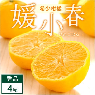 媛小春 4kg 愛媛県 八幡浜市 西宇和地区 希少な幻の柑橘 黄色いみかん【E25-345】【1715608】