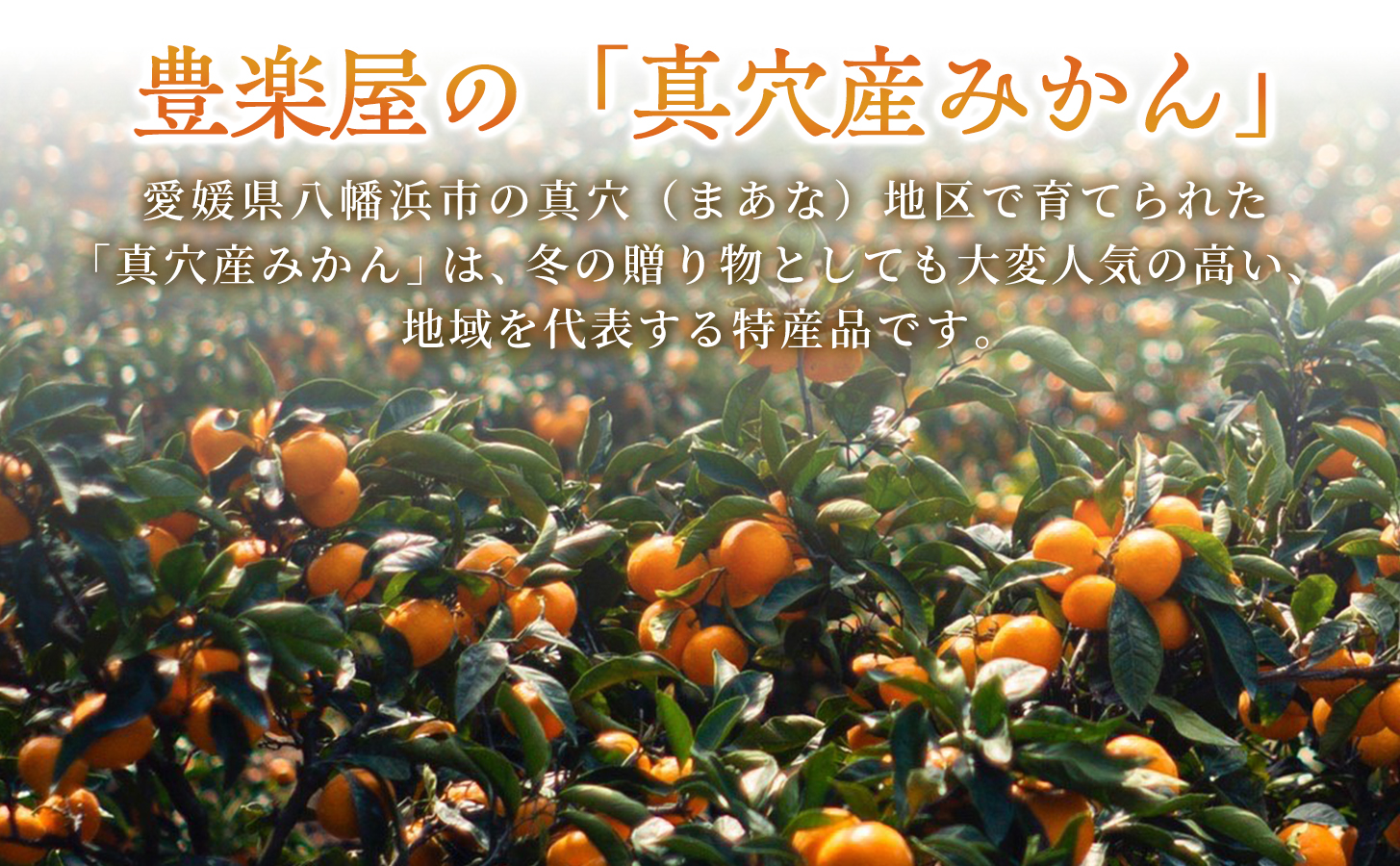 【先行受付】【農家直送でお届け！】果汁たっぷり真穴産みかん 3kg(S~Lサイズ)【D98-17】【1711297】 YWTBU017