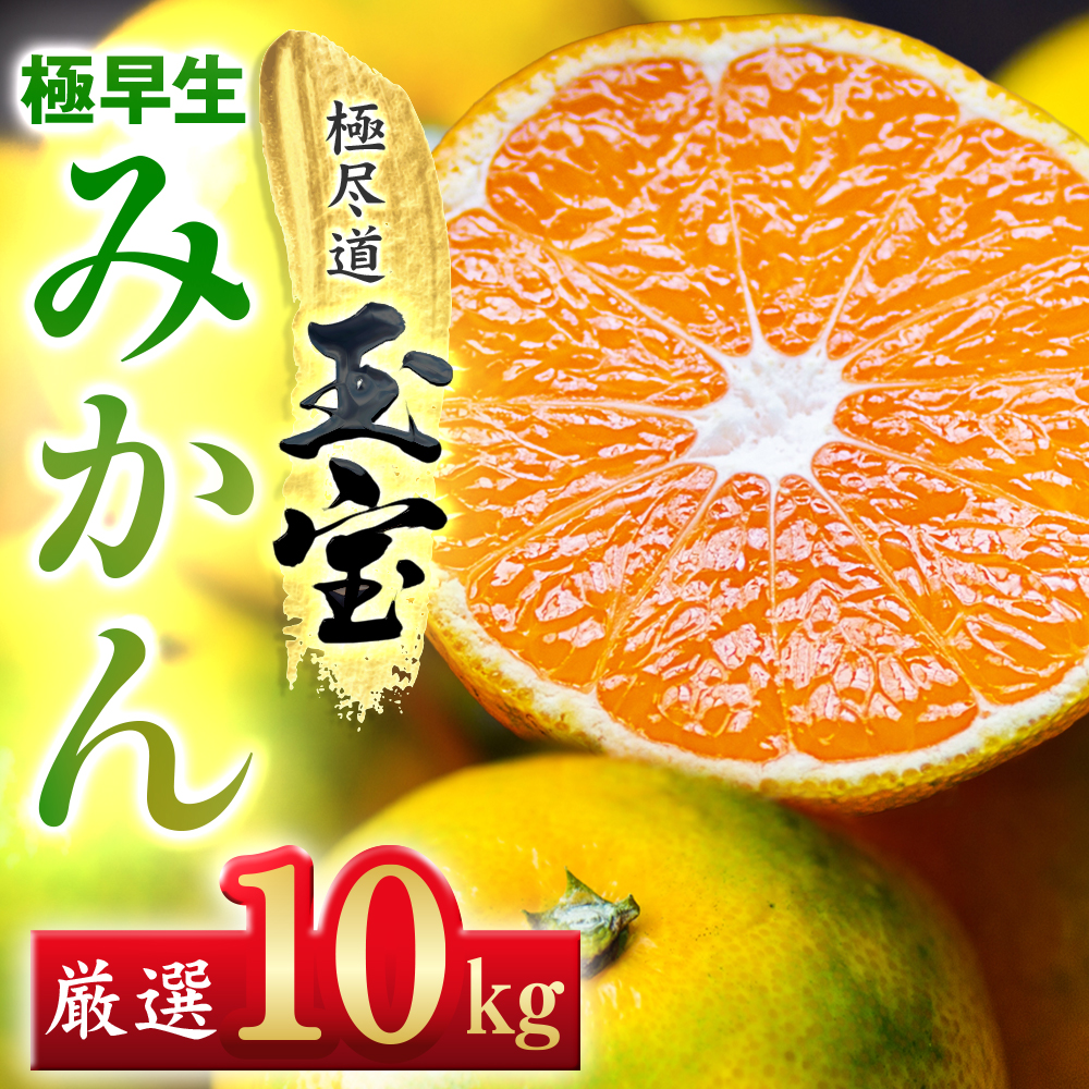 【愛媛名産】極早生みかん 10kg【F64-20】【1510675】 YWTY009
