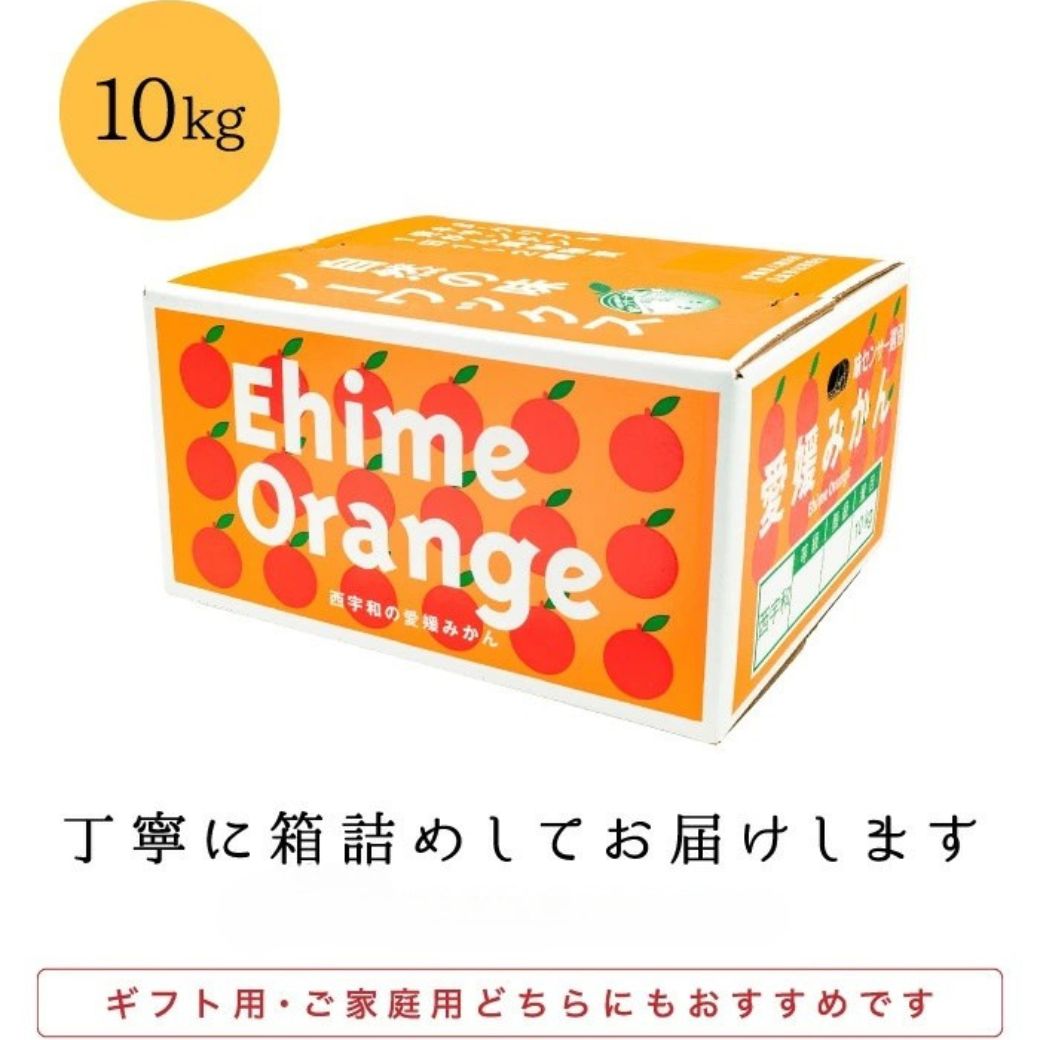 ã嵿¥85幎 芪å4代 æåªã¿ãã äžçãæåªå
«å¹¡æµç£ 極æ©çã¿ãã 10kgãF20-44ãã1594909ã YWTI039