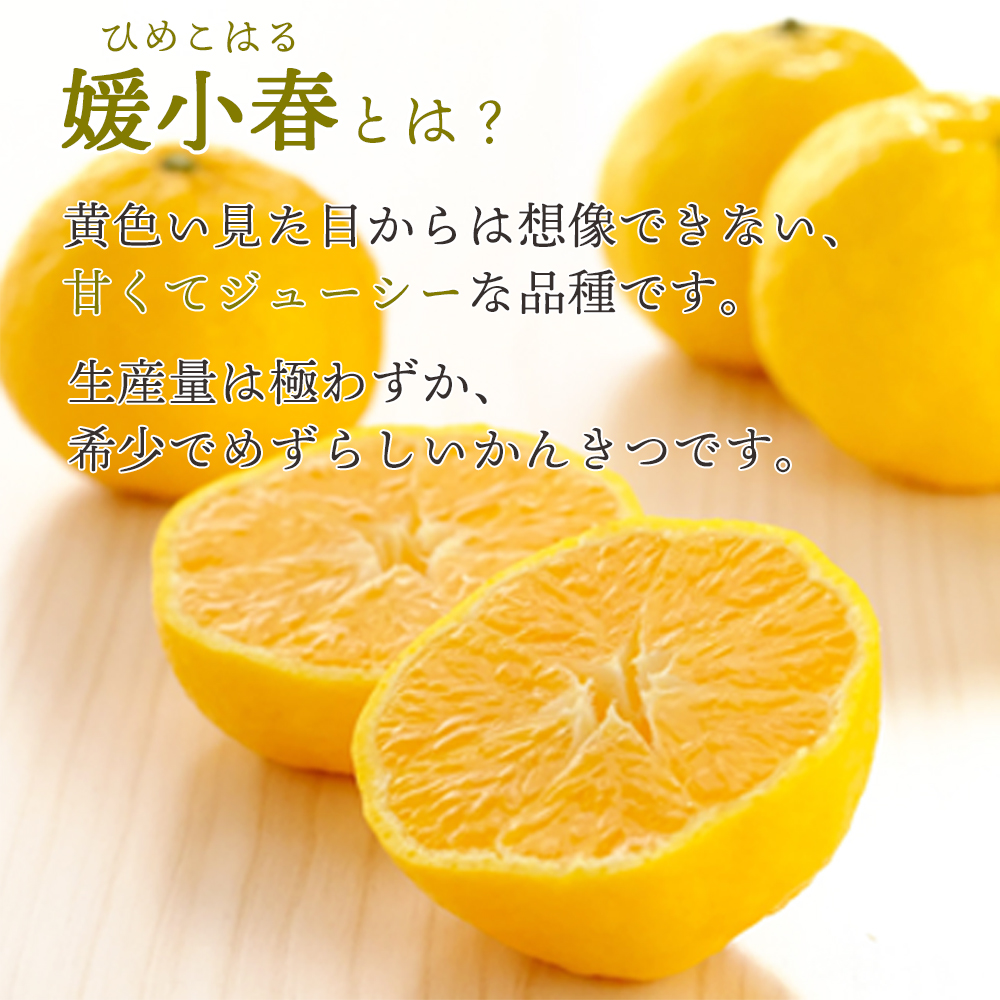 愛媛でしか栽培できない希少柑橘 媛小春(ひめこはる)のジュースと寒天ゼリーセット【D25-84】【1309625】 YWTAP044