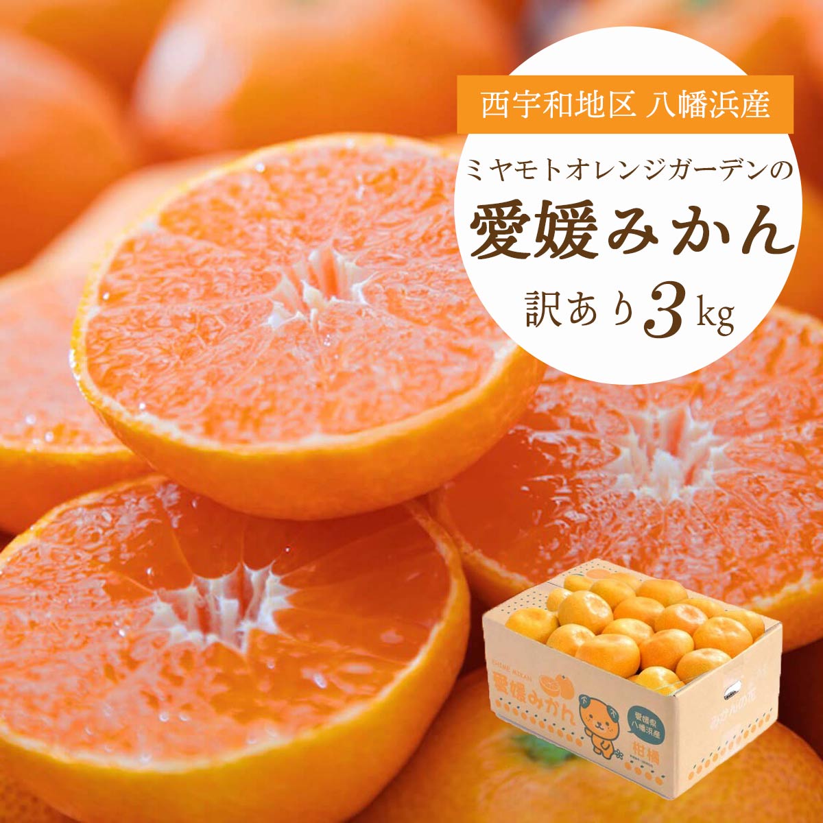 西宇和地区八幡浜産 愛媛みかん3kg【訳あり】【B25-164】【1509982】 YWTAP106