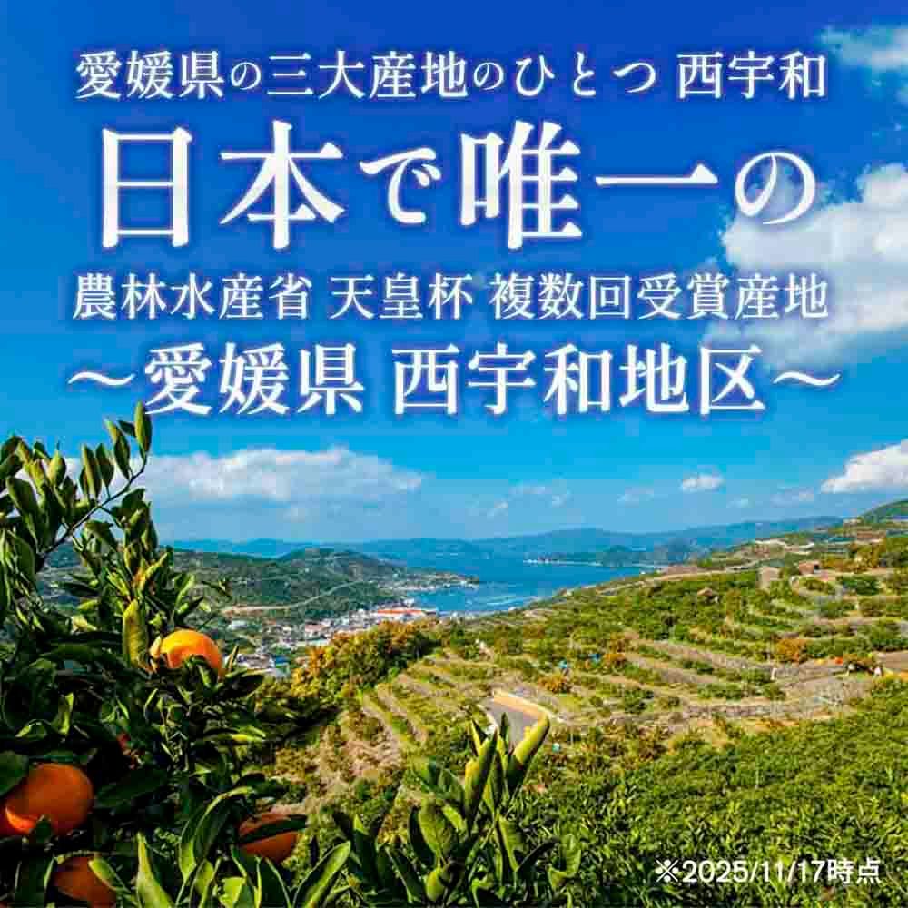 さっぱり爽やか 和製グレープフルーツ 河内晩柑7kg【E25-13】【配送不可地域：離島】【1268372】 YWTAP007