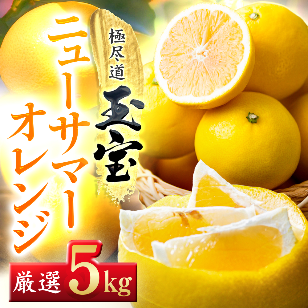 【愛媛名産】玉宝ニューサマーオレンジ　5kg【E64-38】【1510842】 YWTY027