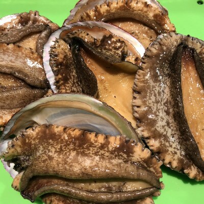 [2ヵ月毎定期便]隔月で八幡浜発、竹中水産天然小アワビ500g前後[H22-286]全3回[配送不可地域:離島・北海道・沖縄県]