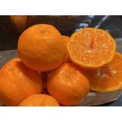 太陽と海のポンカン5kg【家庭用】【C73-5】【1491887】