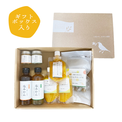 みかんがふわっと香る愛媛の新しい調味料 塩みかん全種詰め合わせセット【D25-81】【1305615】 YWTAP042
