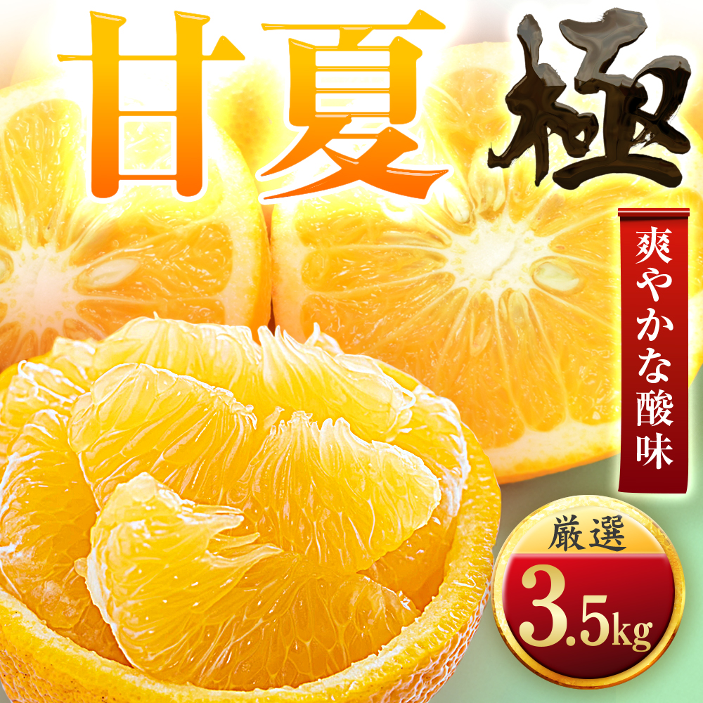 【太陽をたっぷり浴びた】甘夏【極】3.5kg【C49-84】【1621796】 YWTZ069
