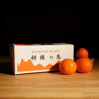 【先行受付】あまーい温州みかん(早生みかん)5kg[数量限定]【C56-6】【1128574】 YWTAS001