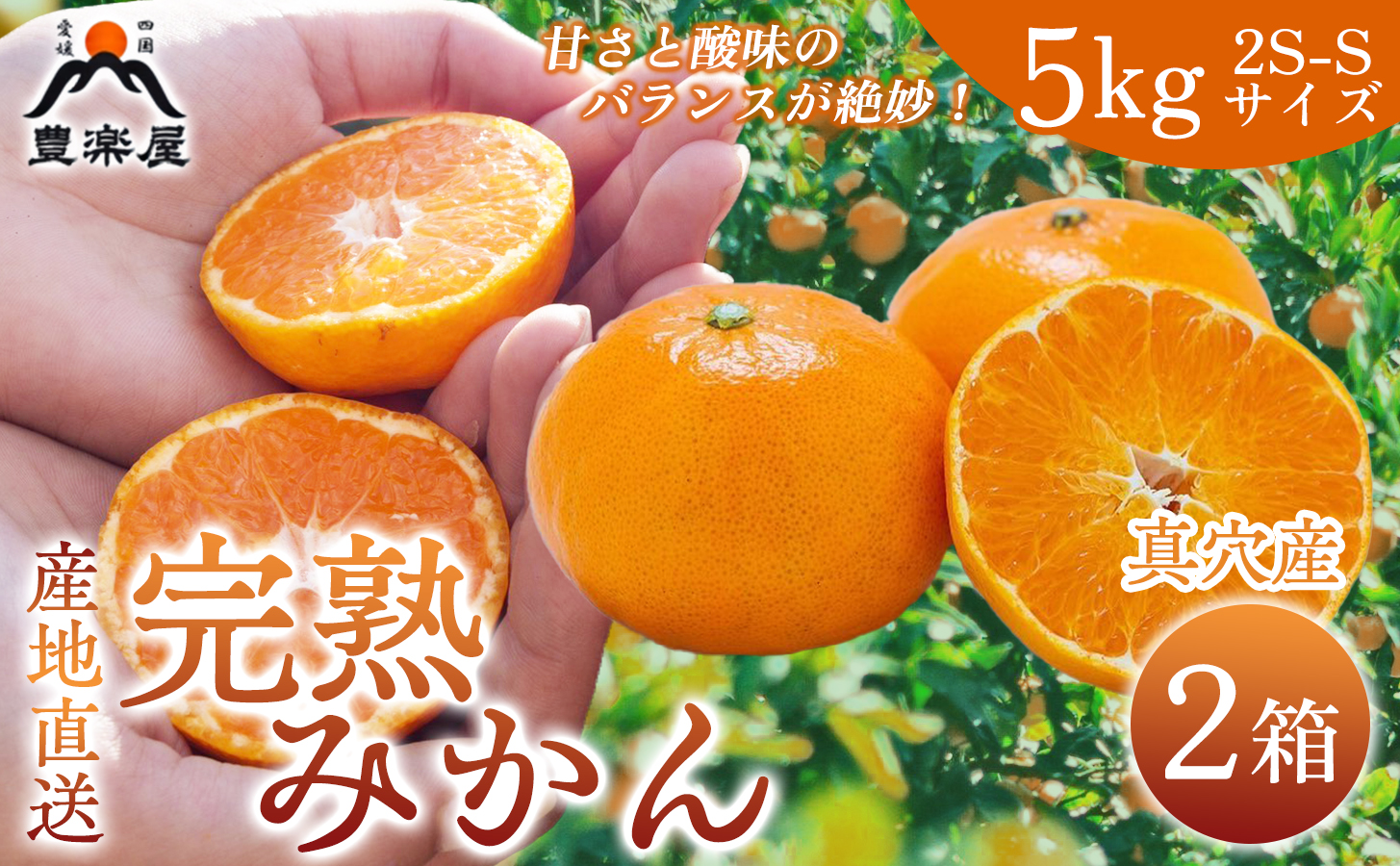 【先行受付】【農家直送でお届け！】果汁たっぷり真穴産みかん 5kg×2箱(2S~Sサイズ)【H98-14】【1711291】 YWTBU014