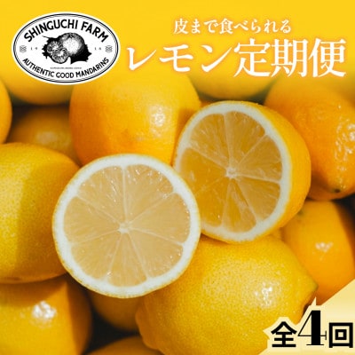 【発送月固定定期便】皮ごと食べられる【愛媛レモン】防腐剤・ワックス不使用【G70-173】全4回【4083081】