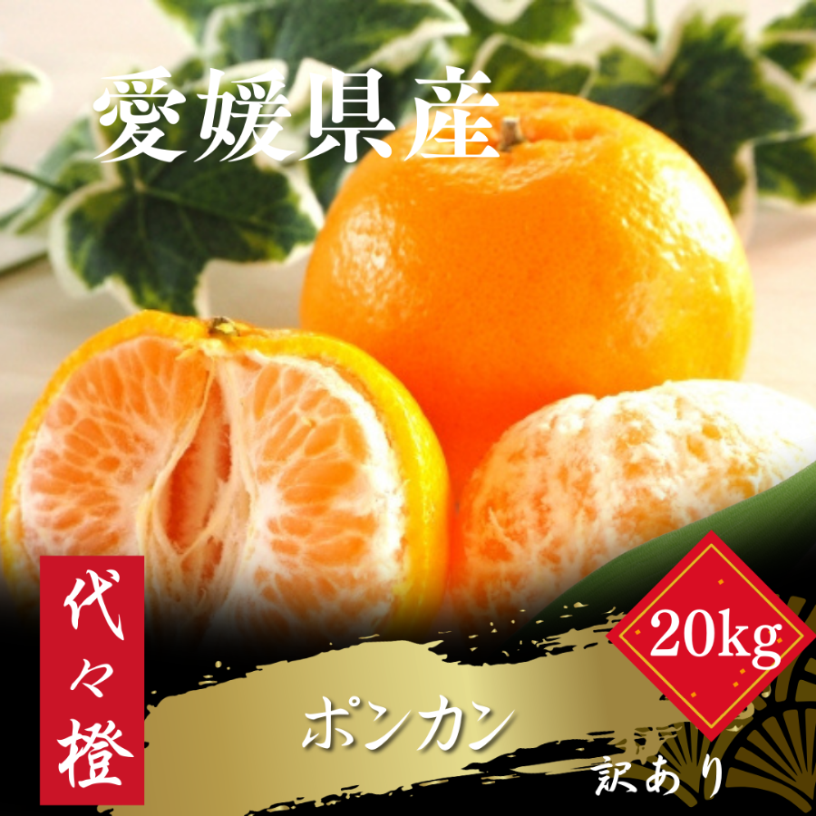 【濃厚な甘さ】【訳あり】ポンカン 20kg【H83-25】【1557489】 YWTW025