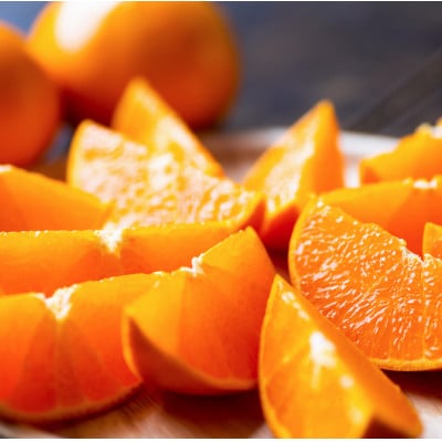 縲檎脂螳昴ヶ繝ゥ繝ウ繝峨阪舌○縺ィ縺九2kg縲燭64-46縲代1511267縲