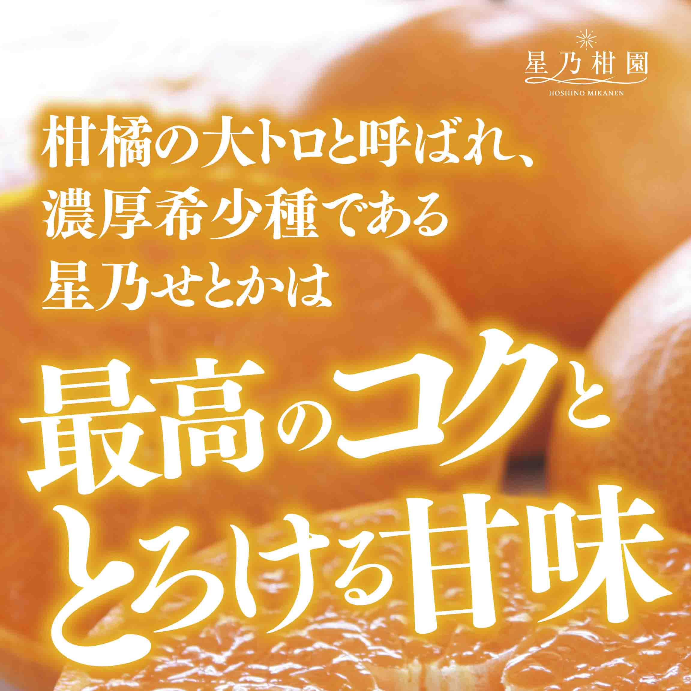 【三つ星ブランド】星乃せとか(3kg)【D45-93】【1625776】 YWTAZ055