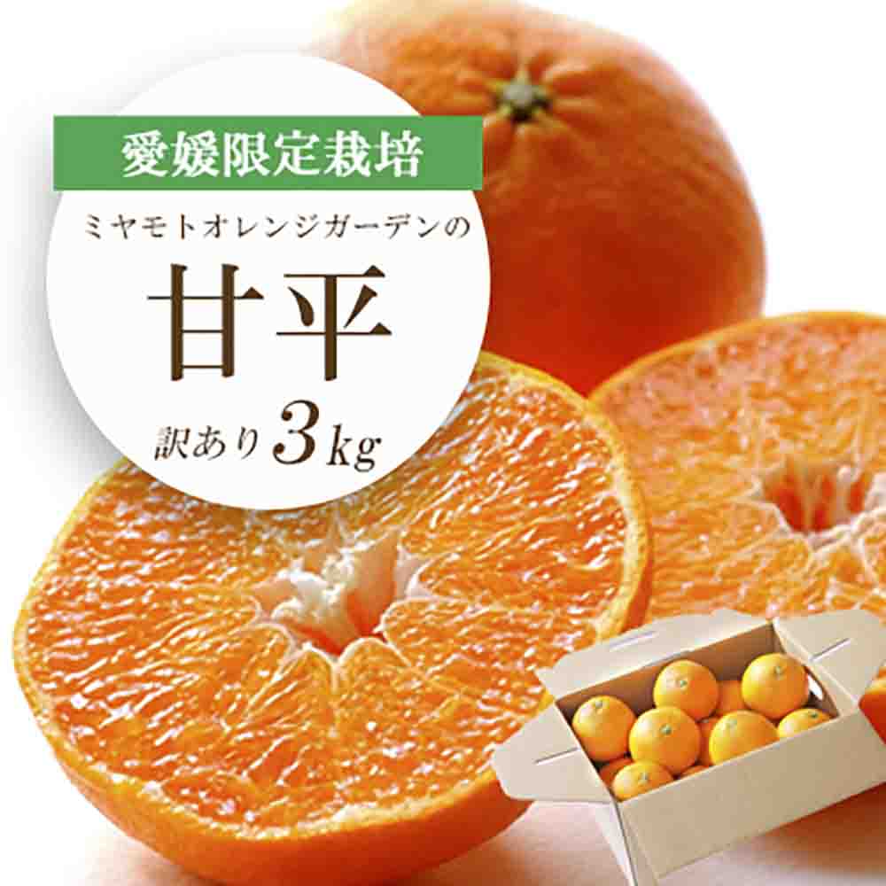 【先行受付】愛媛限定栽培柑橘 甘平(かんぺい)3kg【訳あり】【E25-137】【1138005】 YWTAP080
