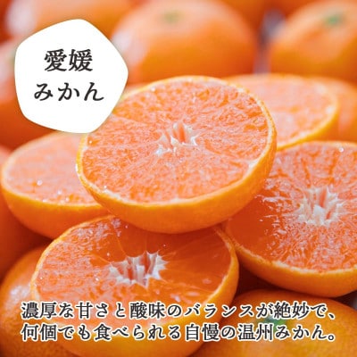 愛媛限定柑橘をセットに!愛媛みかん・まどんな食べ比べ 合計4kg【訳あり】【F25-118】【1419032】