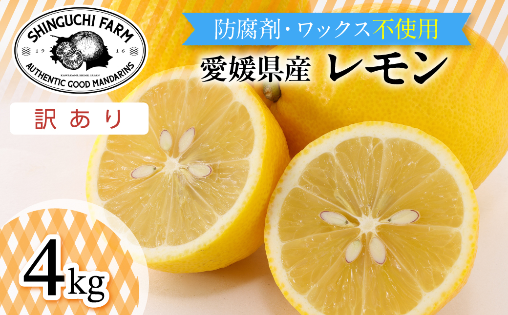 【太陽の恵みをギュッと凝縮】訳あり 愛媛レモン4kg 防腐剤・ワックス不使用【C70-74】【1622582】 YWTK073