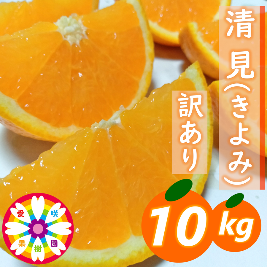 愛咲果樹園 「 清見 」 訳あり 約10kg【C71-15】【1344734】 YWTS013