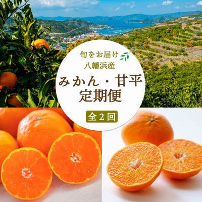 【発送月固定定期便】愛媛みかん大玉8kg(訳)×甘平3kg(訳)【G25-258】全2回【4071211】