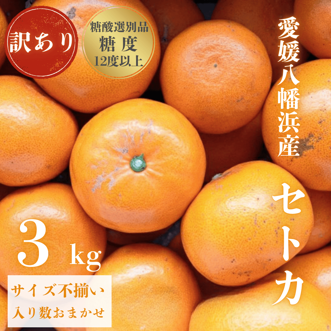＼みかんの大トロ/糖度12.0以上酸1.4以下 糖酸選別品 訳あり 愛媛セトカ3kg【C20-14】【1094586】 YWTI012