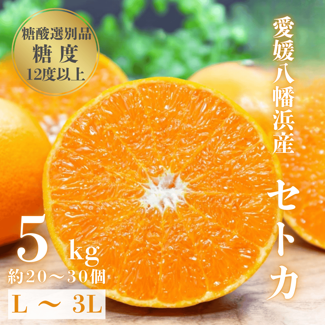 【みかんの大トロ】糖度12.0以上 酸1.4以下 糖酸選別品 愛媛セトカ 5kg【G20-65】【1620326】 YWTI060