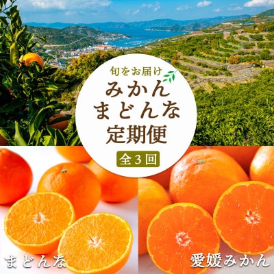 【2週間毎定期便】大玉みかん×愛媛みかん×まどんな 【H25-290】全3回【4071364】