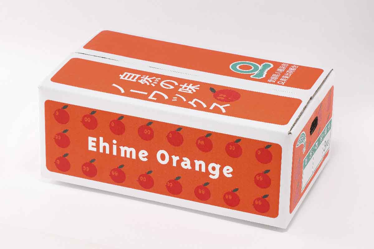 ＼みかんの大トロ/糖度12.0以上 酸1.4以下 糖酸選別品 愛媛セトカ 3kg【D20-7】【1094585】 YWTI007