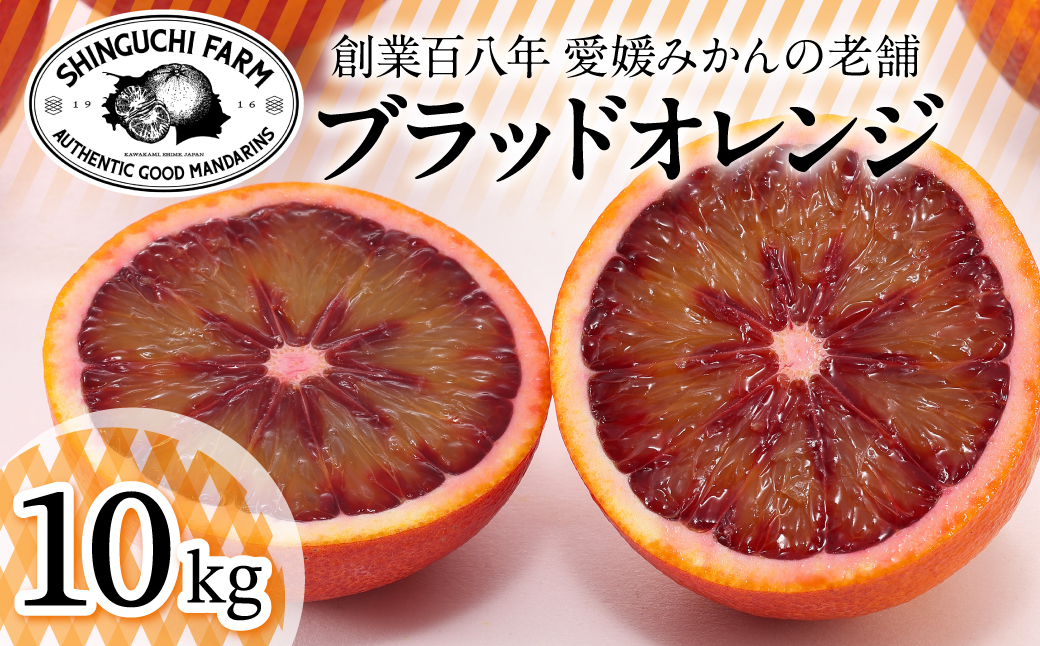 【太陽の恵みをギュッと凝縮】ブラッドオレンジ 10kg 愛媛県産【G70-19】【1470694】 YWTK019