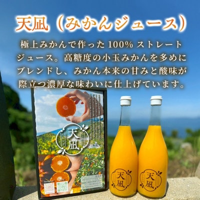 【砂糖・保存料・甘味料すべて不使用】愛媛みかんジュース「天凪」　720ml　6本【H98-4】【1711271】