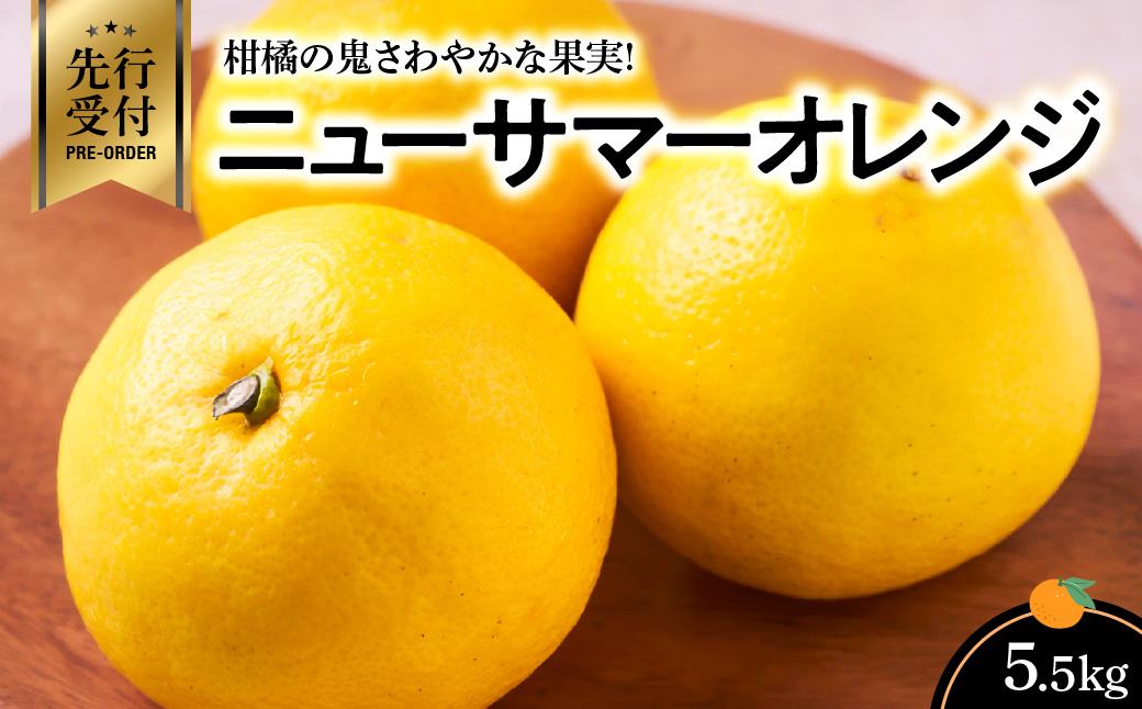 【先行受付】柑橘の鬼　さわやかな果実!ニューサマーオレンジ5.5kg【D56-35】【配送不可地域：離島】【1383235】 YWTAS026