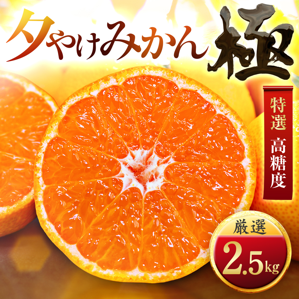 【太陽をたっぷり浴びた】夕やけみかん【極】2.5kg【A49-76】【1557599】 YWTZ061