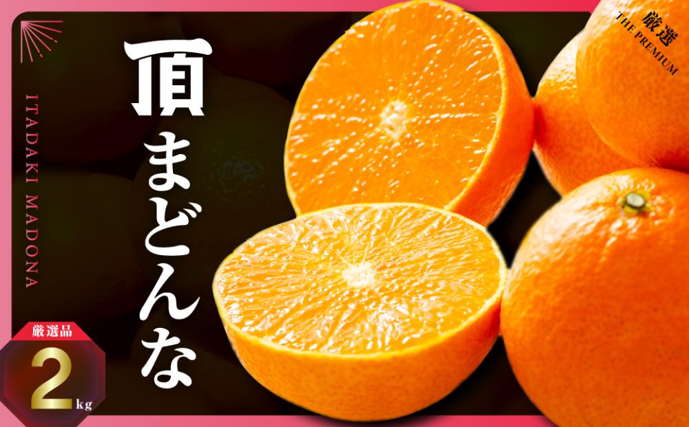 【冬限定の贅沢】ゼリーのような果肉!頂まどんな 2kg【D31-54】【1660046】 YWTAC043