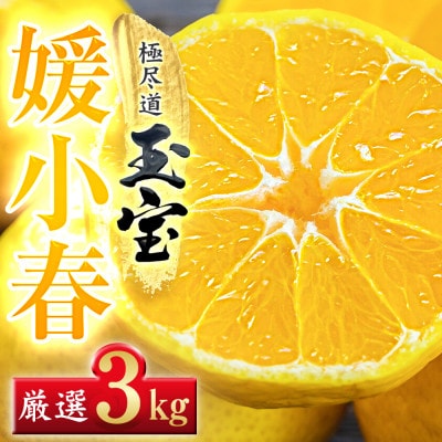 【愛媛名産】玉宝媛小春(ひめこはる)　3kg【E64-86】【1623969】