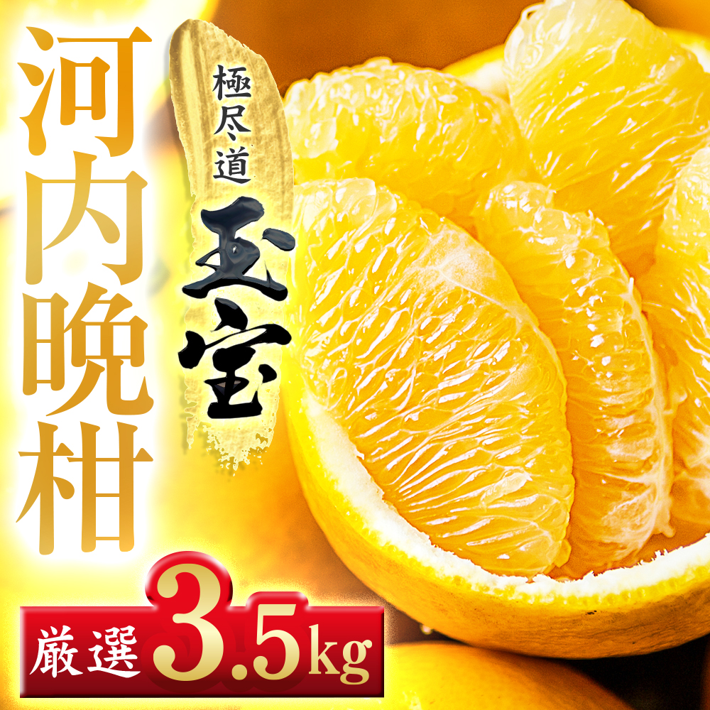 【愛媛名産】玉宝河内晩柑　3.5kg【C64-52】【1511374】 YWTY041