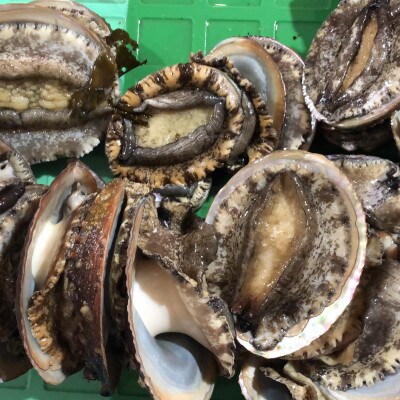 å
«å¹¡æµçº!ç«¹äžæ°Žç£ã®ãã¢ã¯ãäžæ§ãäžãµã€ãºã400g(é¯ãããã¯ã¢ãžãšã»ãã)ãF22-215ããé
éäžå¯å°åïŒé¢å³¶ã»åæµ·éã»æ²çžçãã1043111ã