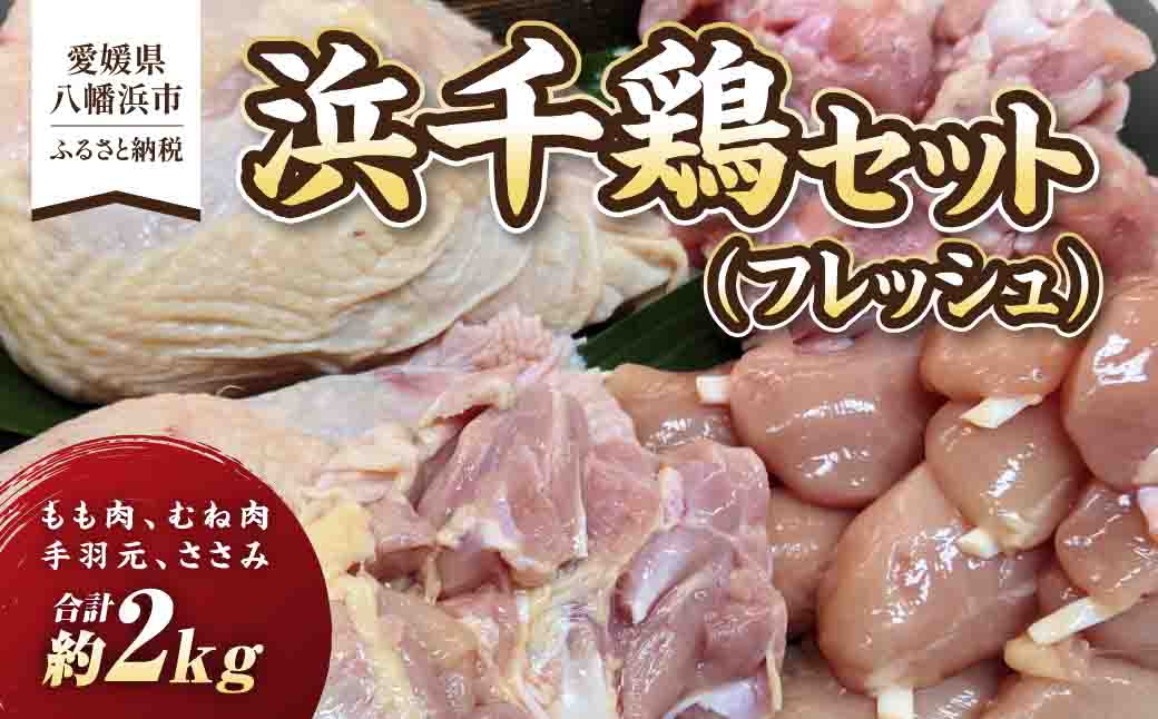 浜千鶏セット(フレッシュ)【C29-1】【配送不可地域：離島】【1487890】 YWTD001