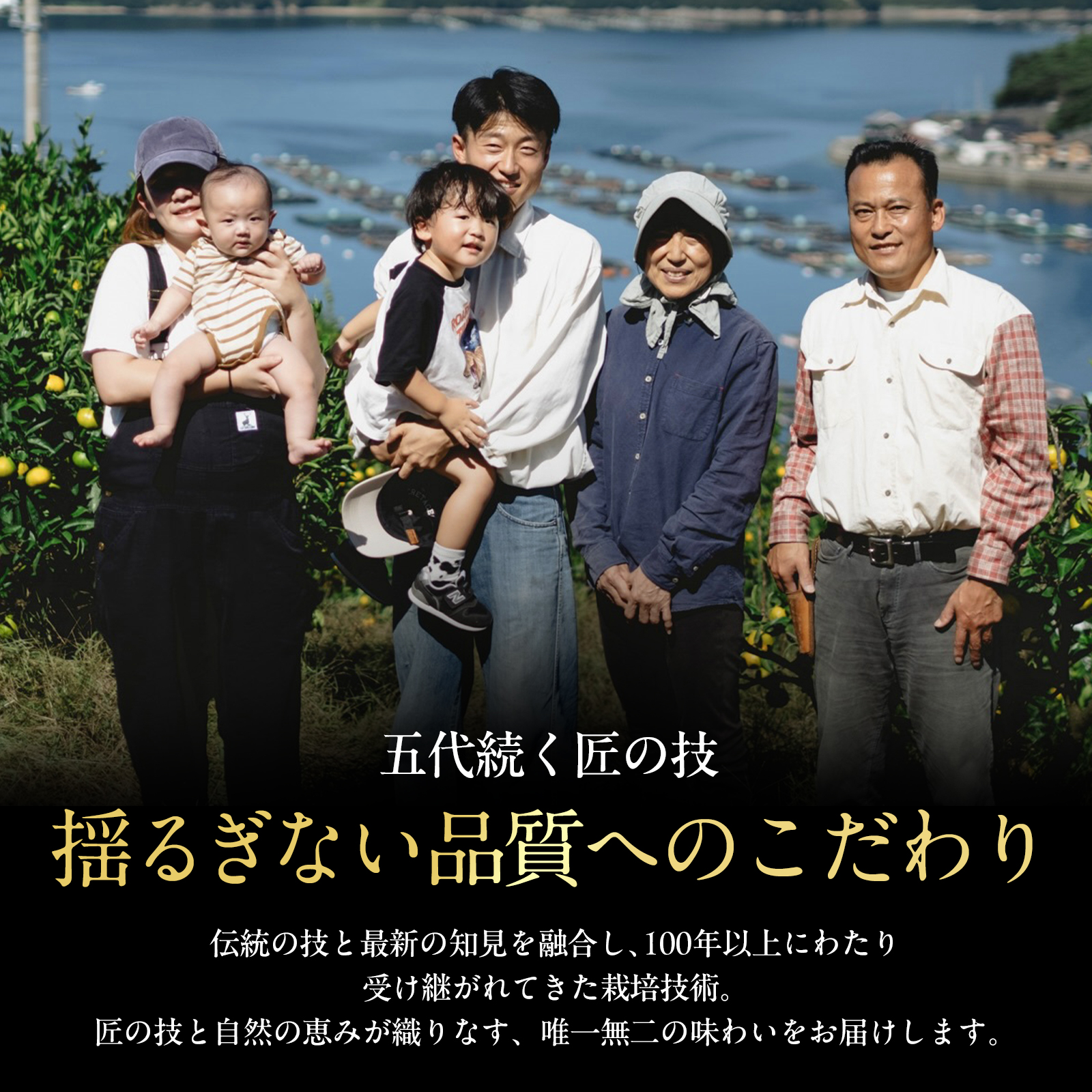 【紅まどんなと同品種】老舗農家が見極めたプレミアム【まどんな 10kg】【H70-109】【1683859】 YWTK108