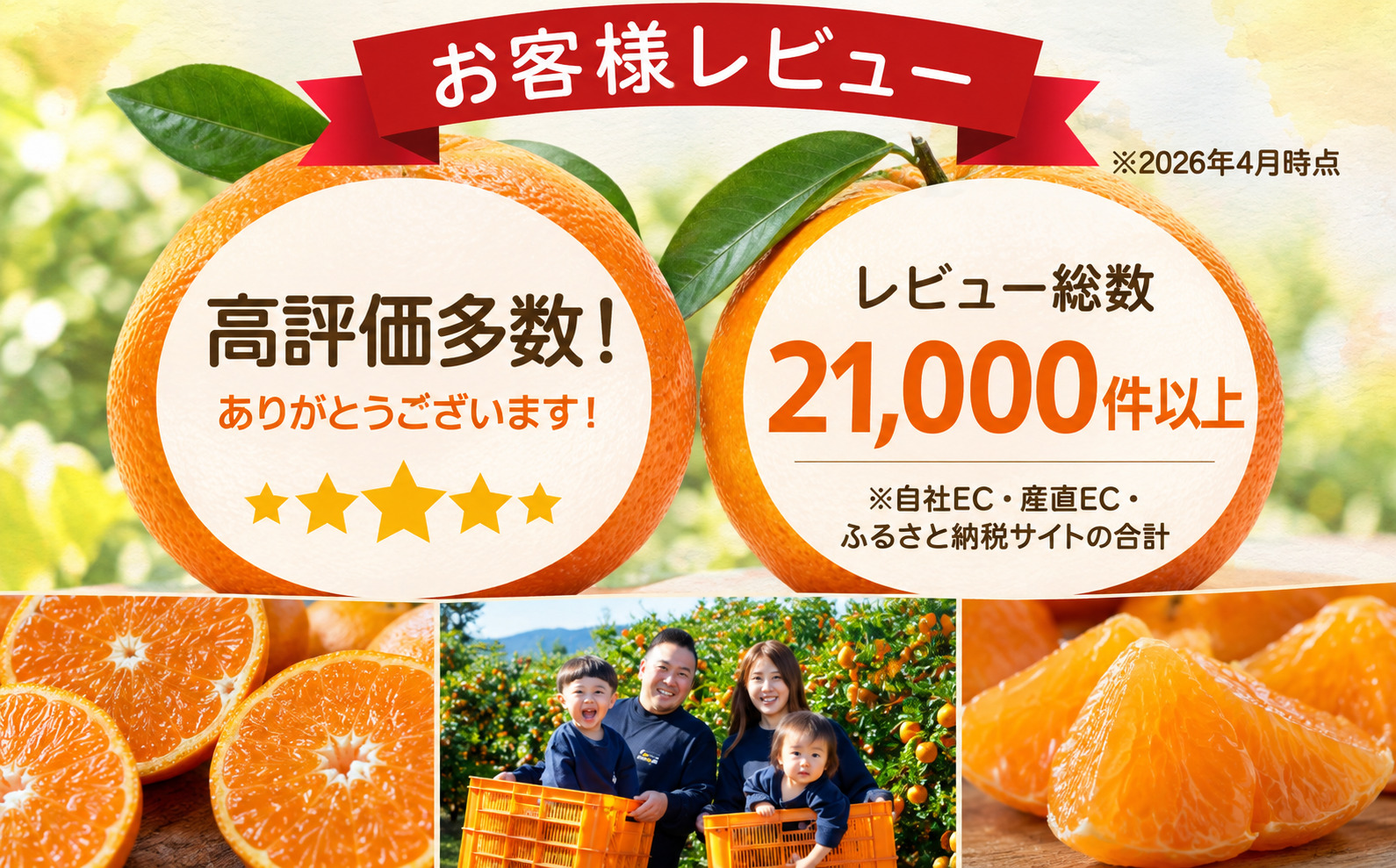 【先行受付】【年内発送!】肉厚濃蜜 富士柿　3.5kg　愛媛県産【C49-104】【1741177】 YWTZ097