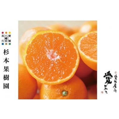 【家庭用】真穴、八寿みかん(早生温州)3kg【A34-37】【1692434】